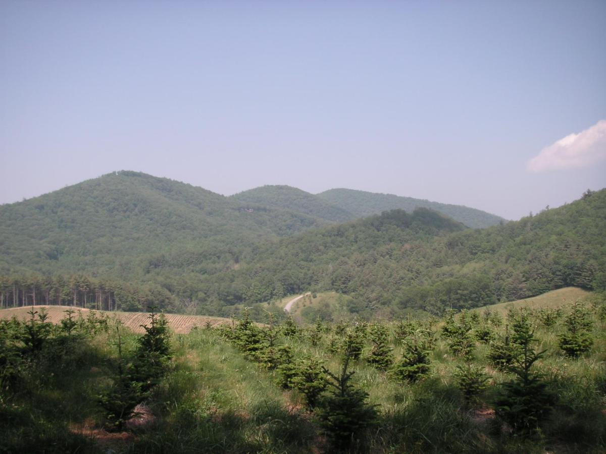 Arrowmont Stables & Cabins Cullowhee Luaran gambar