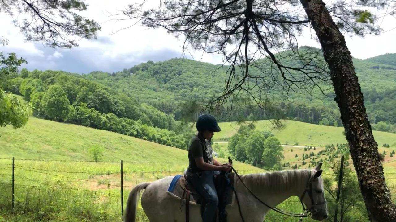 Arrowmont Stables & Cabins Cullowhee Luaran gambar