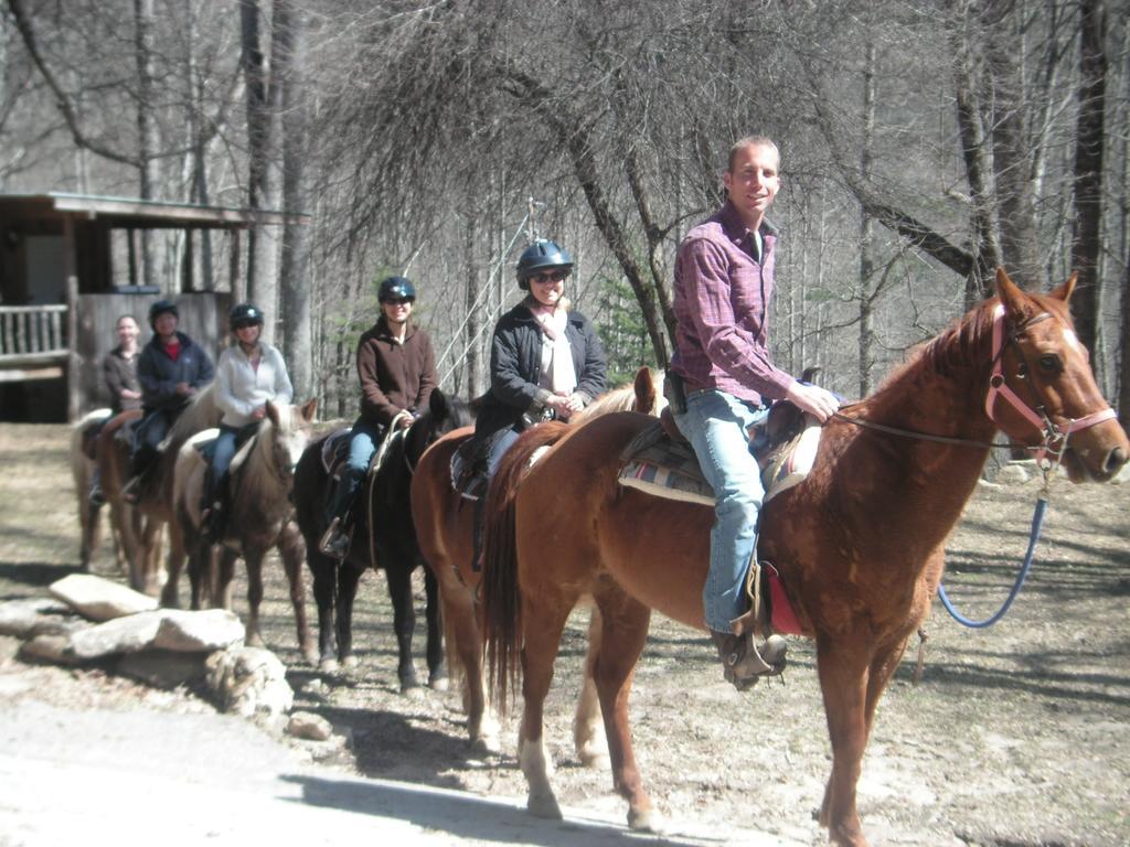 Arrowmont Stables & Cabins Cullowhee Luaran gambar