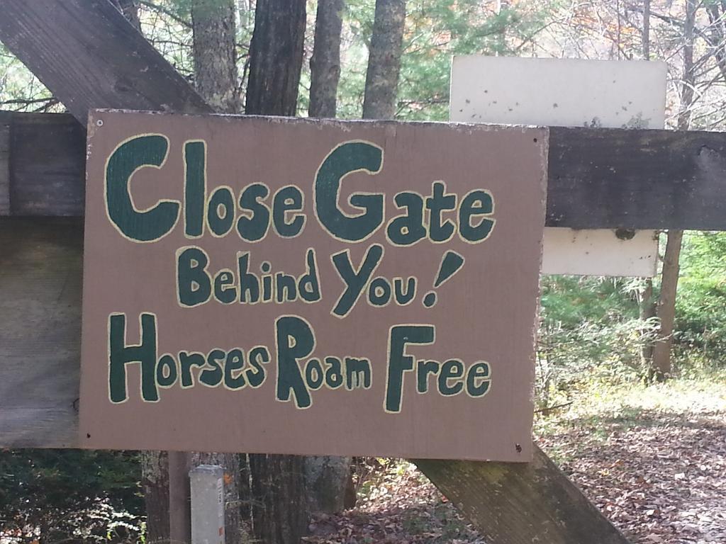 Arrowmont Stables & Cabins Cullowhee Luaran gambar